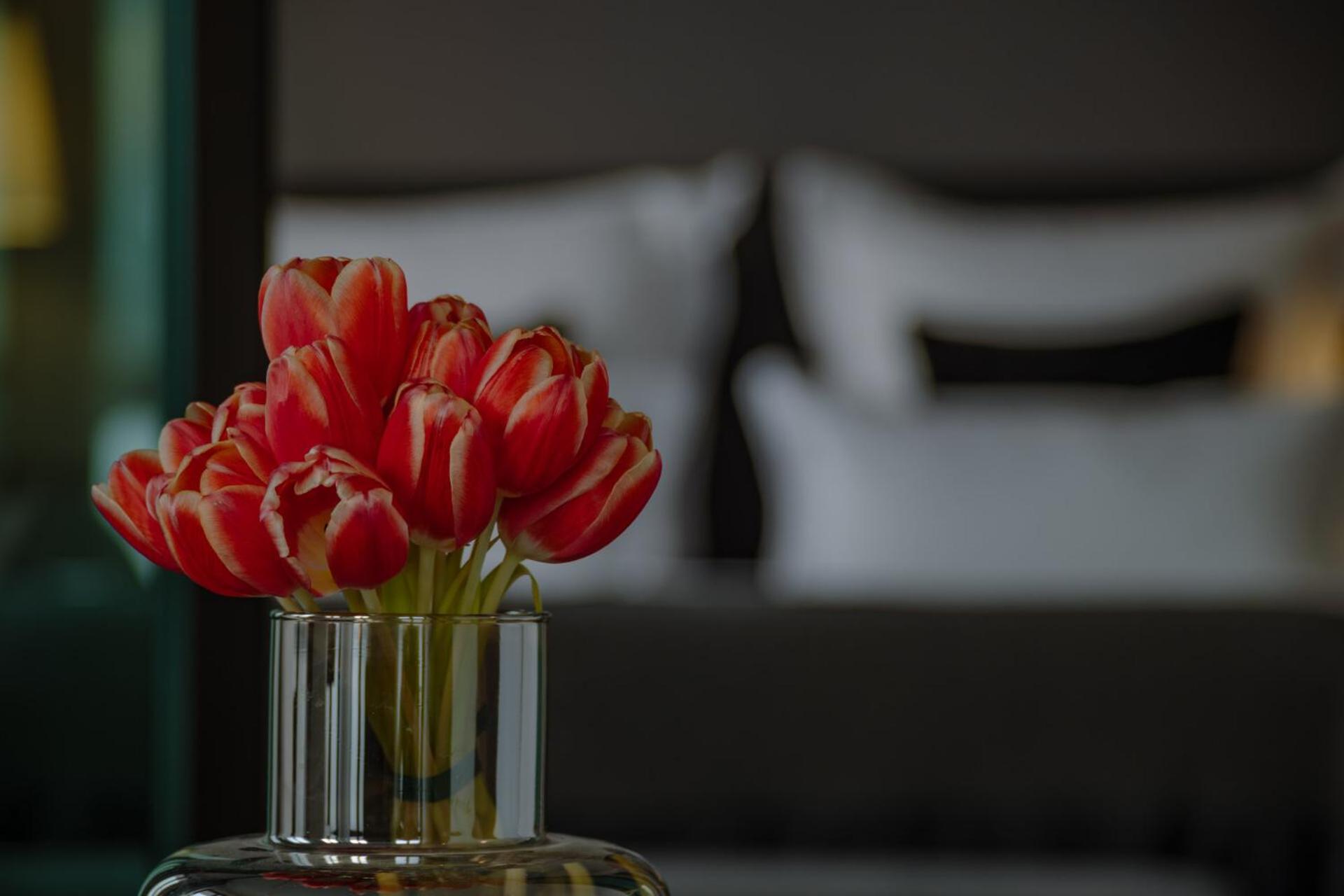 A-Rosa Collection Hotel Ceres Am Meer - Adults Only 宾茨 外观 照片